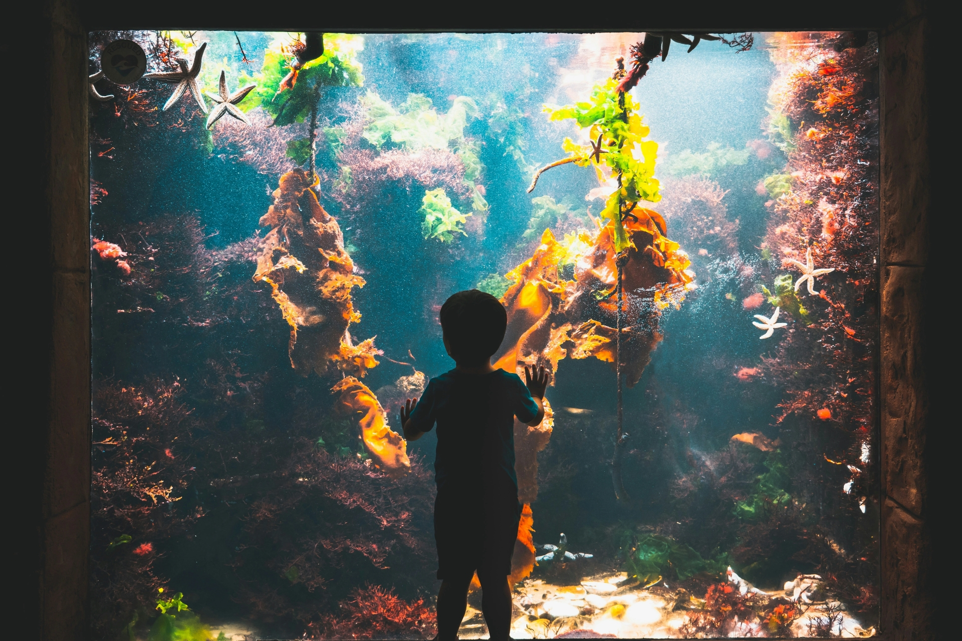 Kind bij aquarium